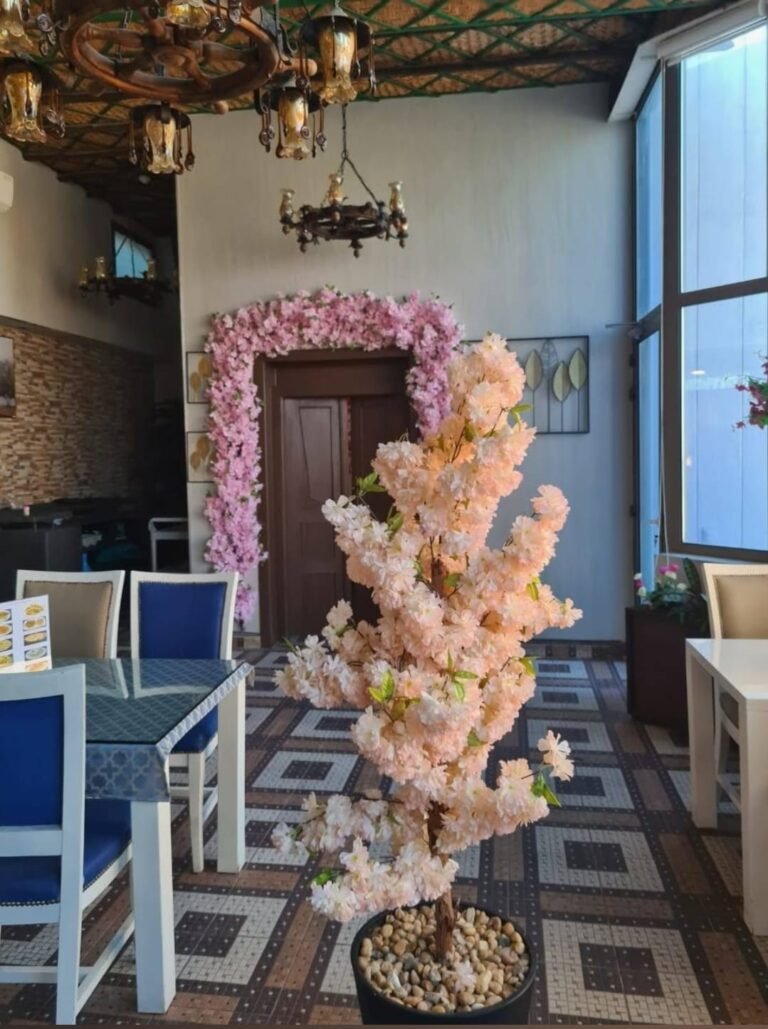 WhatsApp Image 2026-02-13 at 4.10