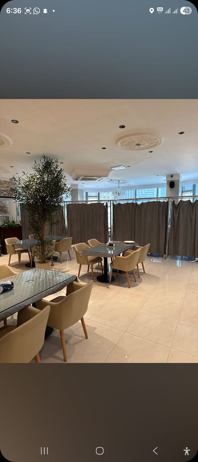 WhatsApp Image 2026-02-13 at 4.10