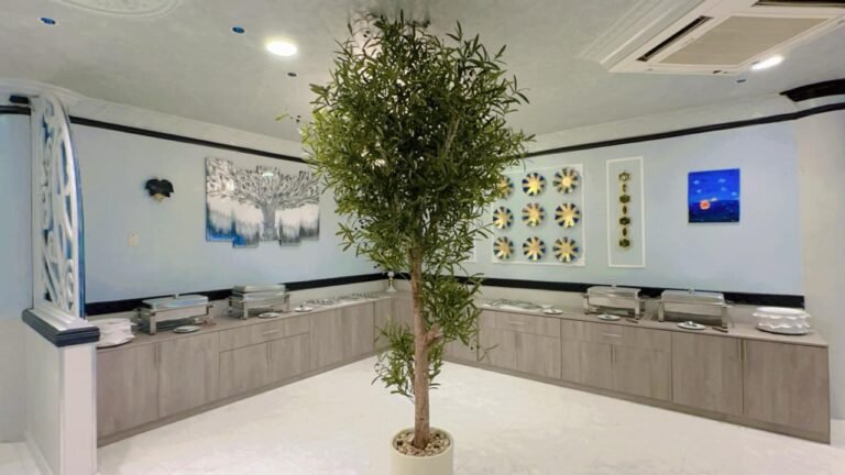 WhatsApp Image 2026-02-13 at 4.10